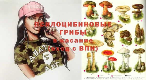 спиды Аркадак