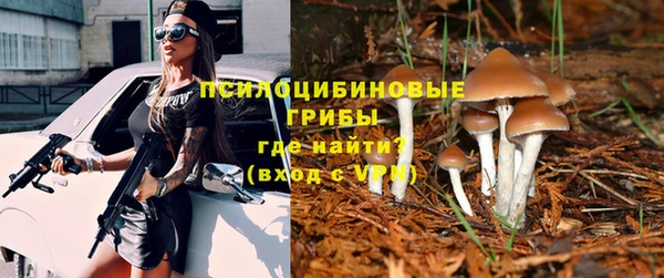 гидра Инта