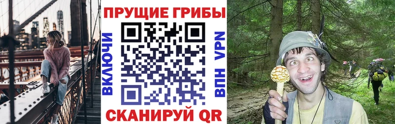Псилоцибиновые грибы MAGIC MUSHROOMS  что такое наркотик  Менделеевск 